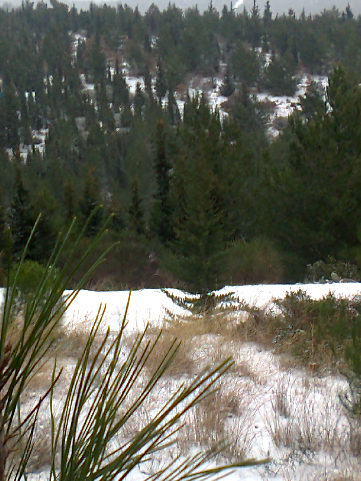 Φωτογραφία4162