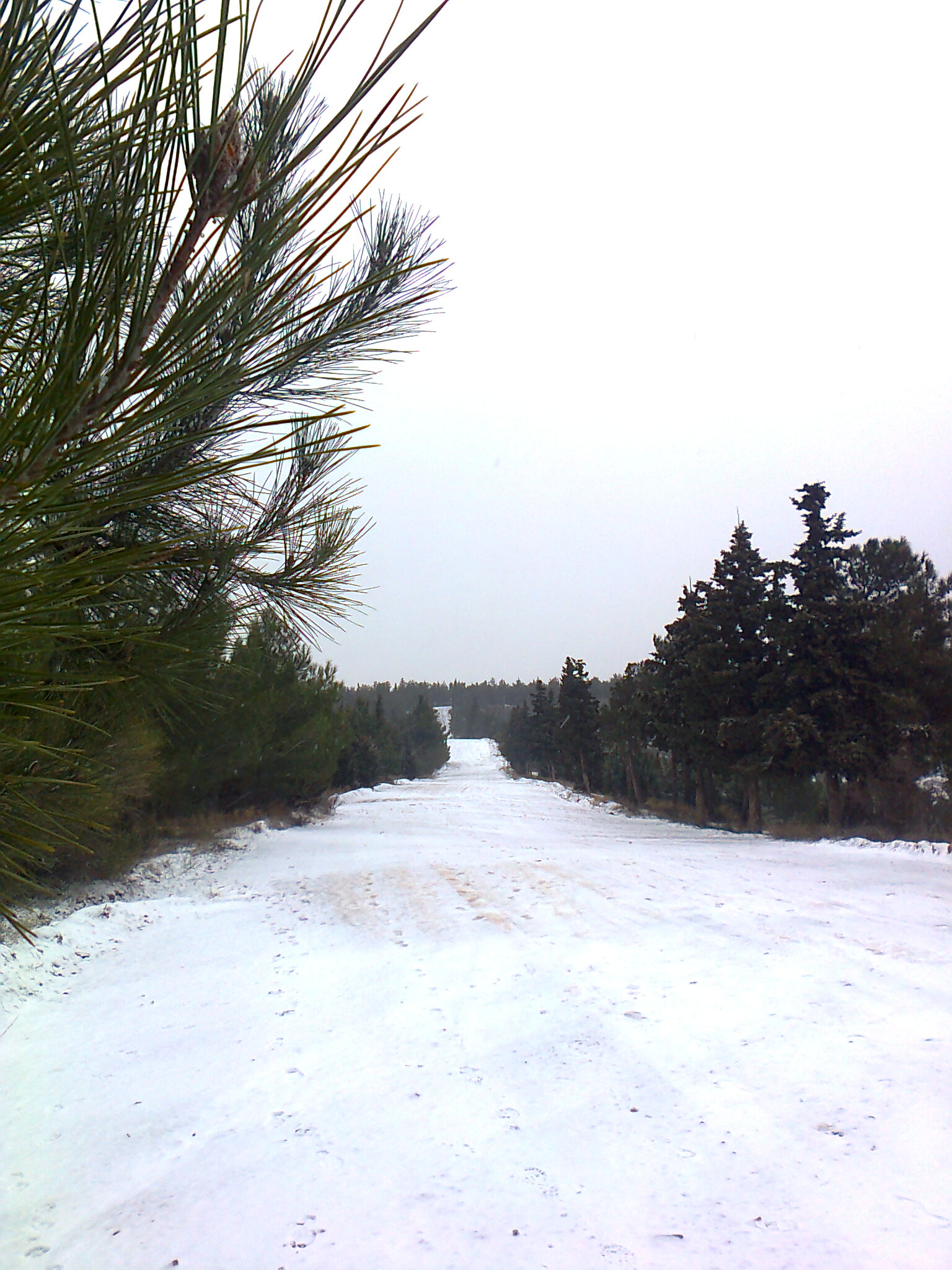 Φωτογραφία4167