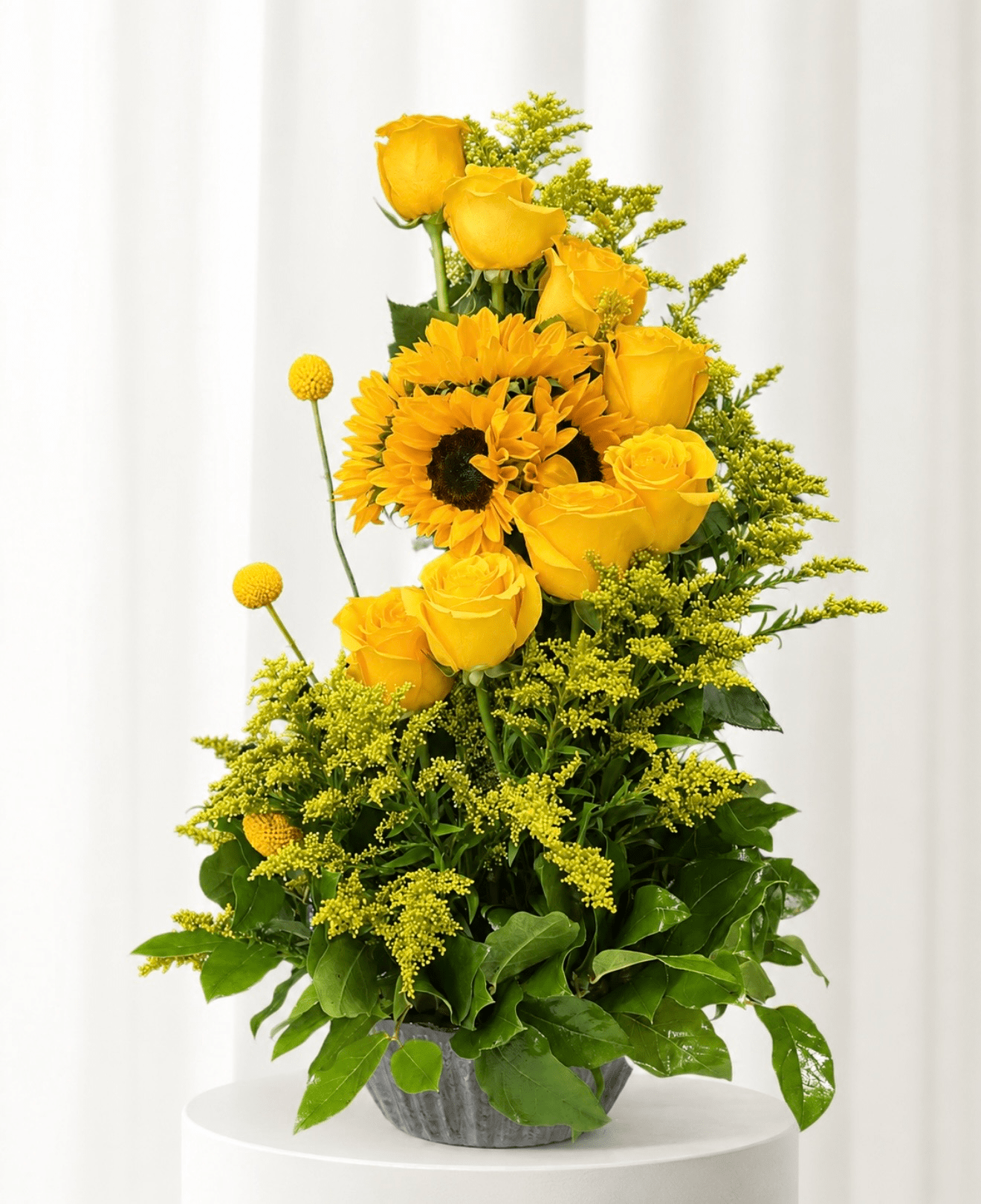 img 7934.webp