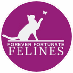 Forever Fortunate Felines