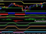 Winning Profitable Forex System Forex Winners Free Download