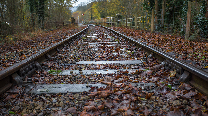 Rail Delays caused by leaves on the line: Cancelled