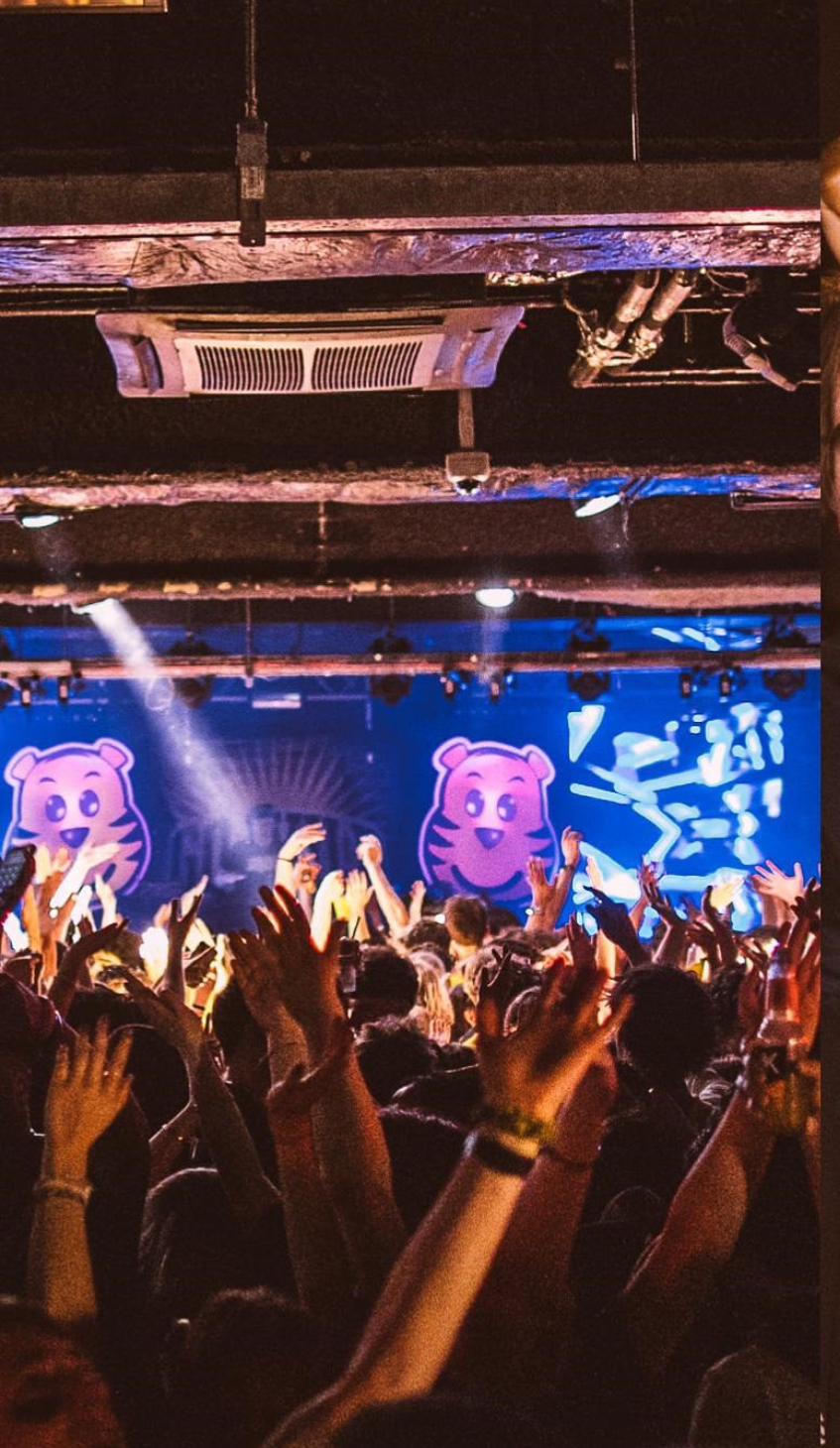 ESSEX GIRL DOES SHEFFIELD: Societycest- The New Epidemic?