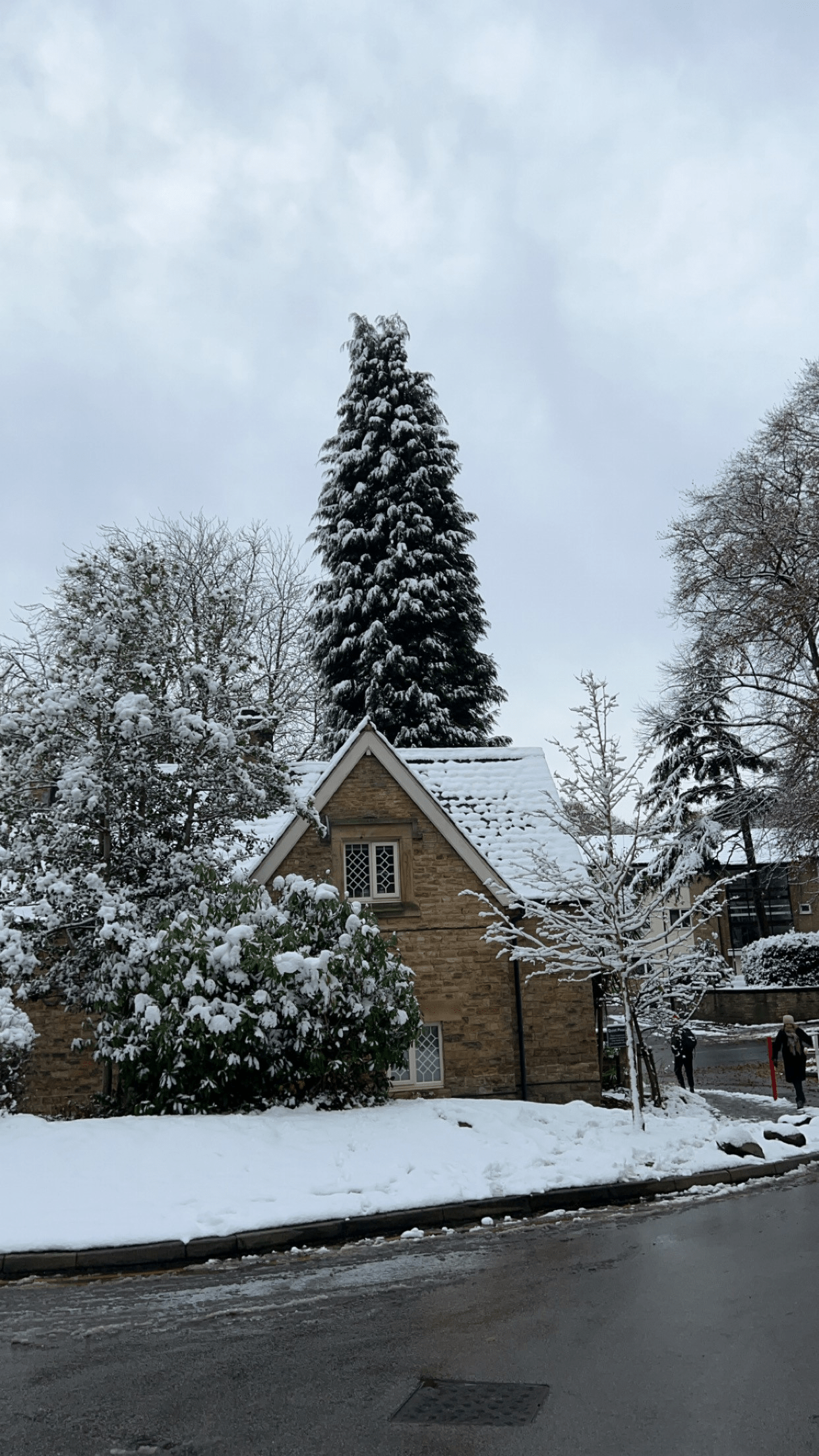 ESSEX GIRL DOES SHEFFIELD: The Great Sheffield Weather Conspiracy