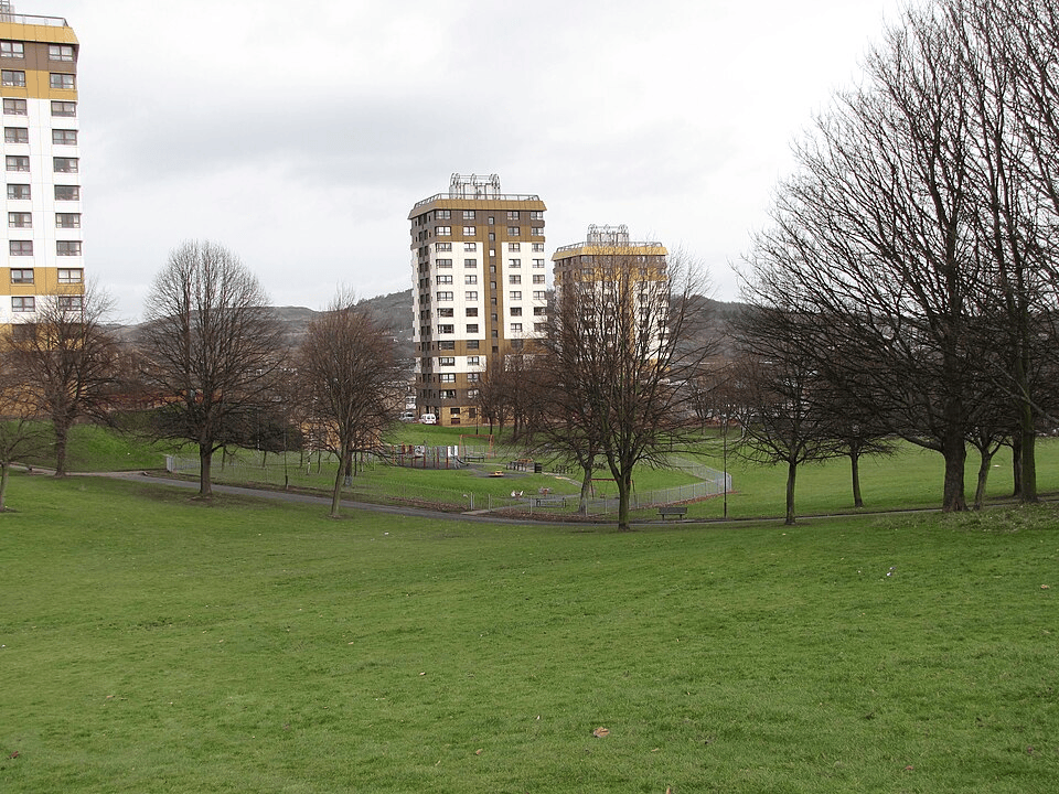 How Sheffield green spaces are recovering from wildfires