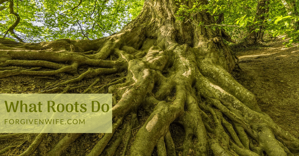 Our roots help us hold on to each other, and it’s holding on to each other and God that keeps us holding on.