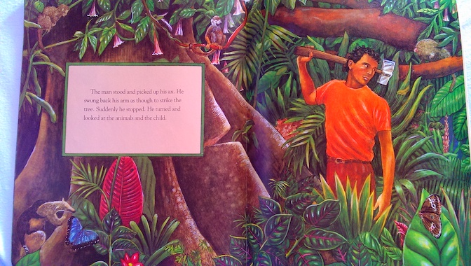 The Great Kapok Tree A Steam Activity For Preschoolers