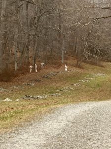 Putnam Memorial State Park