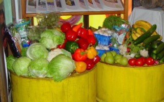 Dumpstered_vegetables-320×200