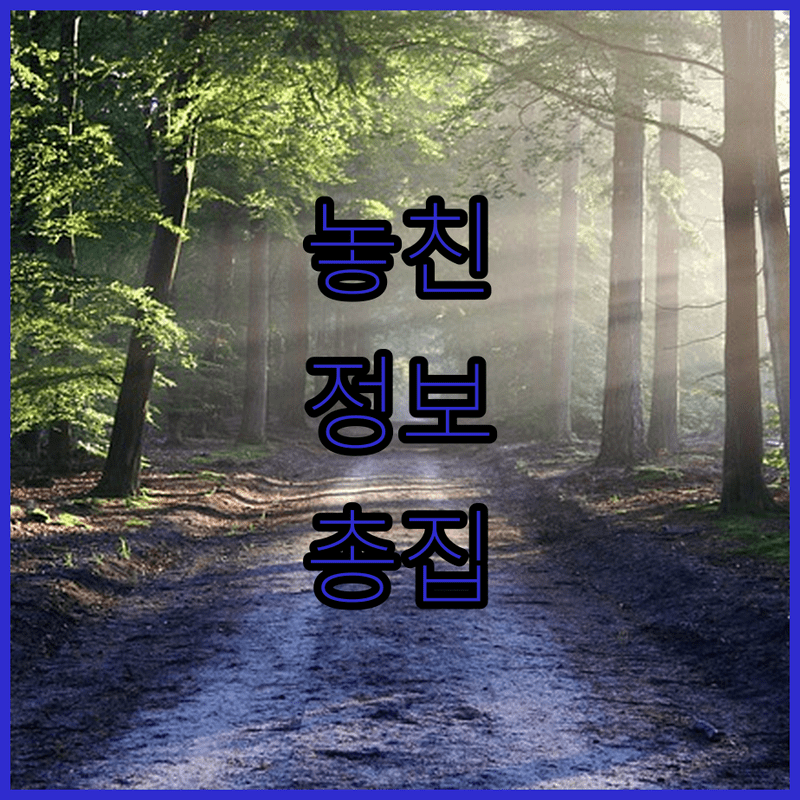 입맛 확! 돋우는 매콤 오이무침, 초간단 레시피 공개