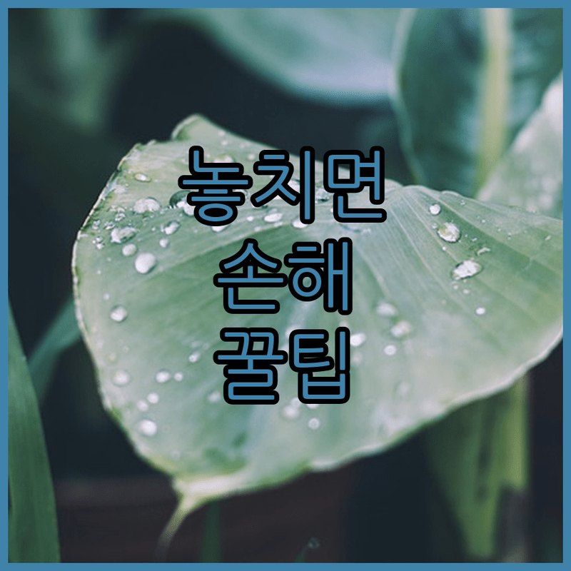 전주 다둥이카드 200% 활용법 지금 바로 확인하세요