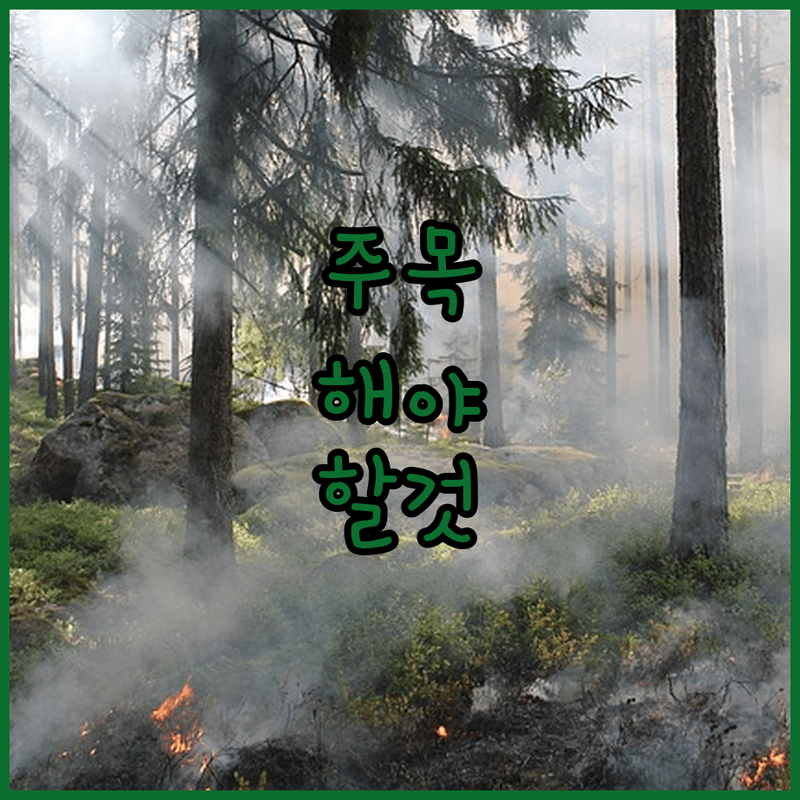 🍚 밥도둑 강림! 초간단 알토란 고추장 달걀조림 비법