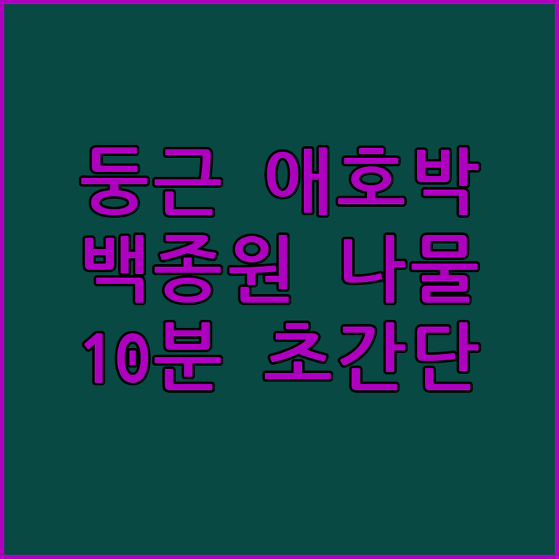 둥근 애호박 활용법! 10분 만에 만드는 백종원표 나물볶음