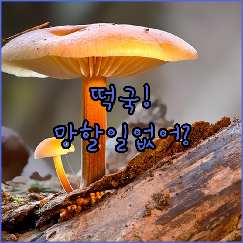 떡국이 망할 염려 없는 마법의 3단계 굴떡국 비법