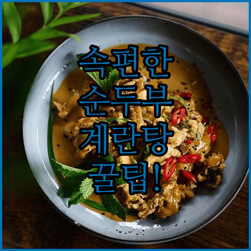 속 편하게 다이어트하는 맑은 순두부계란탕 레시피