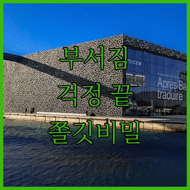 부서짐 걱정 끝 쫄깃한 청포묵 무침의 비밀