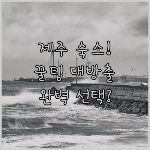 실제 후기로 보는 제주 숙소 추천 내 여행 스타일에 맞는 완벽한 선택