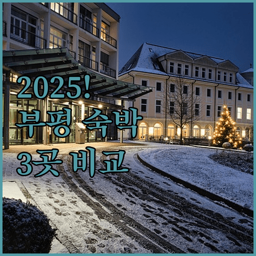 2025년 인천 부평 숙박 어디가 좋을까 호텔 뉴캐슬 동암 피카소 브라운도트 비교 분석