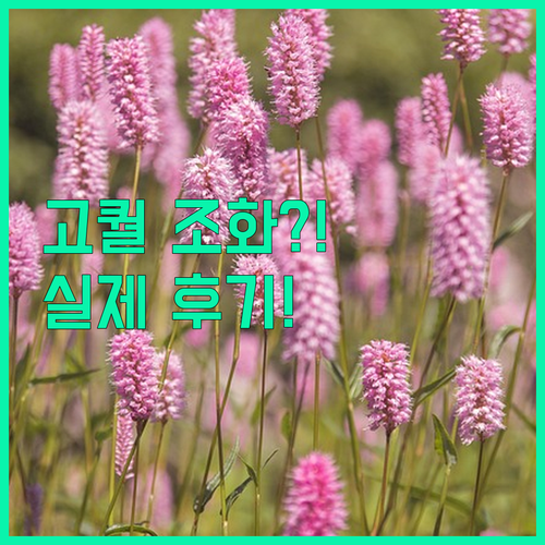 플라워샤워부터 인테리어까지, 실제 후기로 증명된 고퀄리티 조화 제품 비교