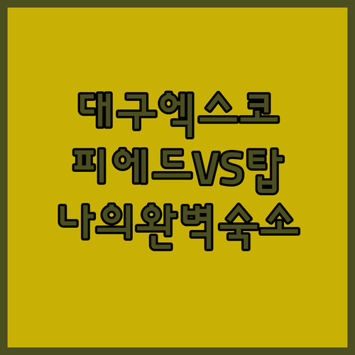 대구 엑스코 호텔 피에드 vs 탑호텔, 나에게 맞는 완벽한 숙소는