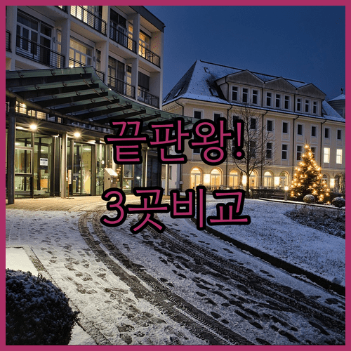 서울 숙소 고민 끝판왕 3곳 비교 분석 신촌 아파트먼트부터 명동 포쉬텔까지