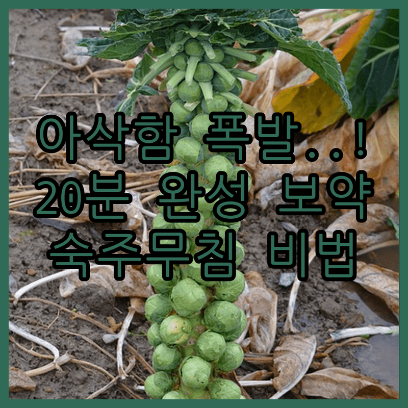 20분 투자로 만나는 식탁 위의 보약 아삭함이 살아있는 숙주 무침