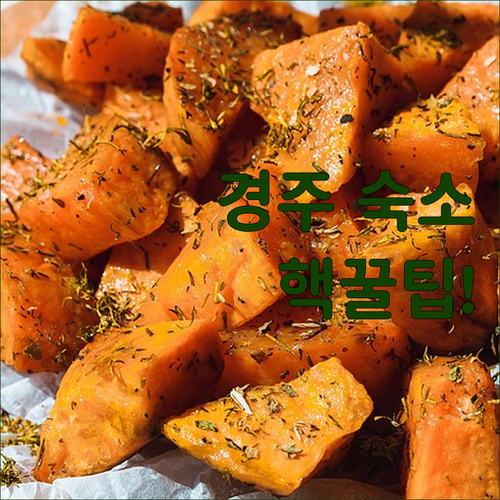 경주 엔젤 포테이토 로얄 3종 비교, 야시장 앞 무인텔부터 터미널 1분 거리 숙소까지