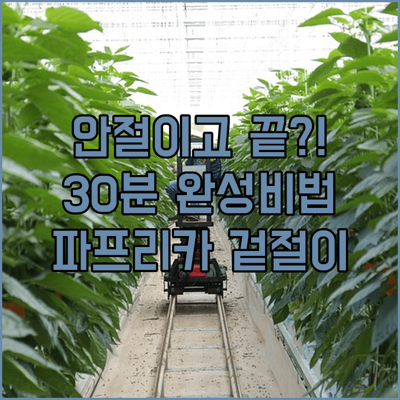 절이지 않고 30분 만에 완성하는 아삭아삭 파프리카 겉절이 레시피