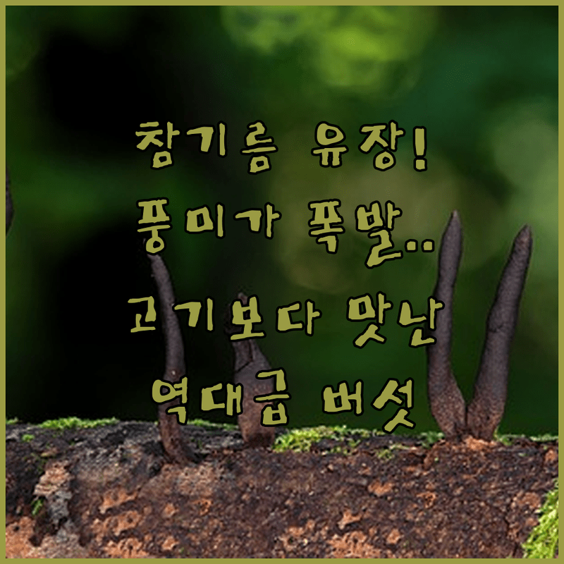 참기름 유장으로 풍미를 꽉 잡은 역대급 버섯 구이 레시피