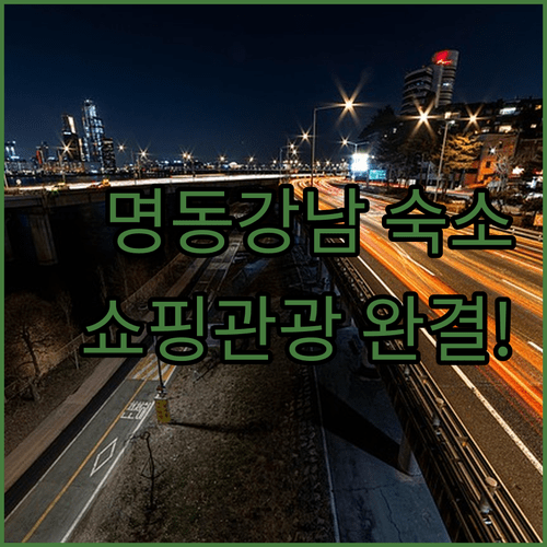쇼핑과 관광을 한 번에 해결하는 서울 숙소 추천 명동과 강남의 완벽한 선택