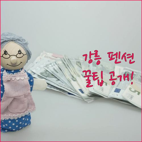 강릉 펜션 추천, 합리적인 가격부터 프리미엄 풀빌라까지 완벽 비교