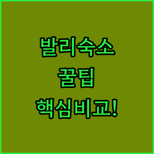 발리 쿠타 공항 인근 호텔 비교 레나 세가라 하우스 쿠타와 망가르 인도네시아 호텔