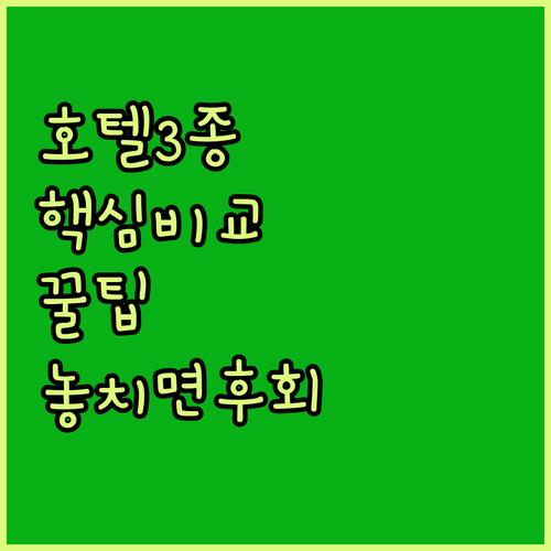엘포우드 호텔 3종 비교 분석, 사하라 사막 투어 전 최적 숙소는 어디?