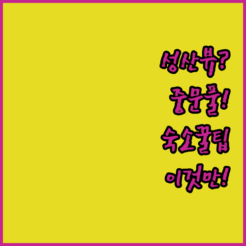 성산일출봉 뷰 vs 중문 수영장 제주 가족 여행 숙소 이것만 보고 고르세요
