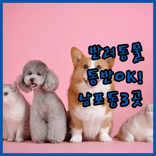 반려동물 동반 가능한 2026년 신축 남포동 호텔 3곳 완벽 분석