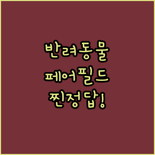반려동물 동반 시 페어필드 TX 호텔 어디가 진짜 정답일까