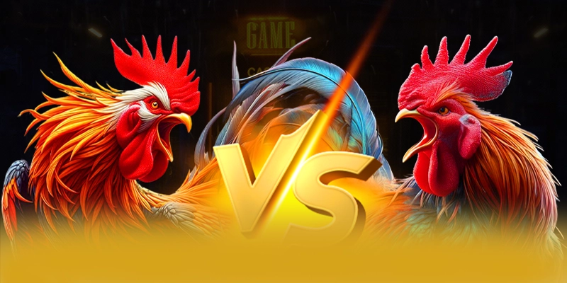 8XBET - Nhà cái hàng đầu Việt Nam tại Việt Nam