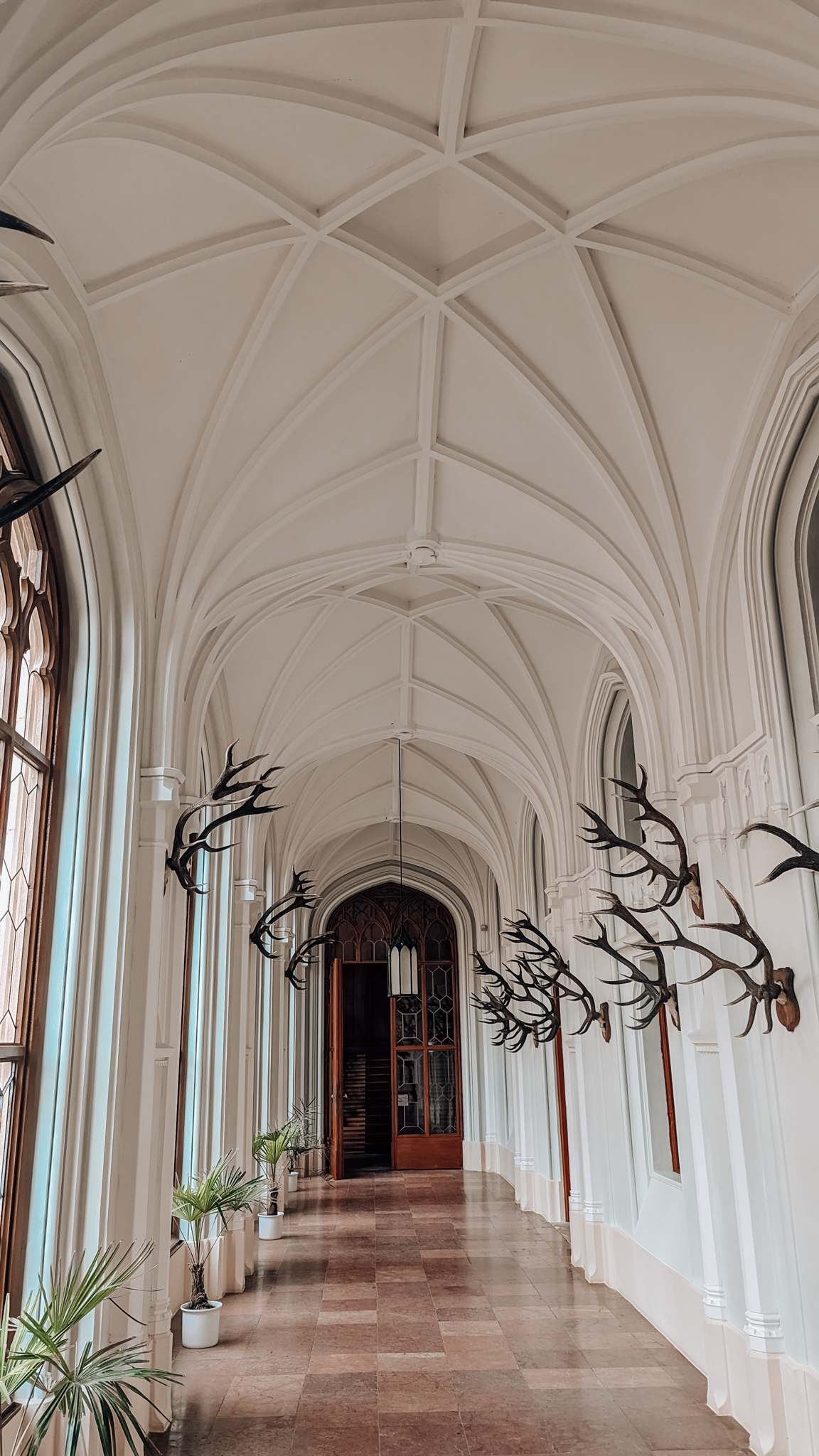 Various hunting trophies are displayed on the tall and bright walls of a corridor in Lednice Castle