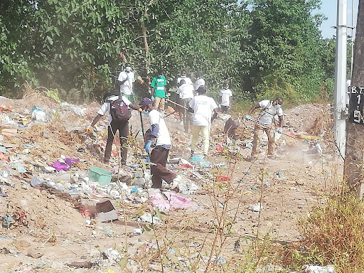 Gambia Battles Forest and Wetland Degradation