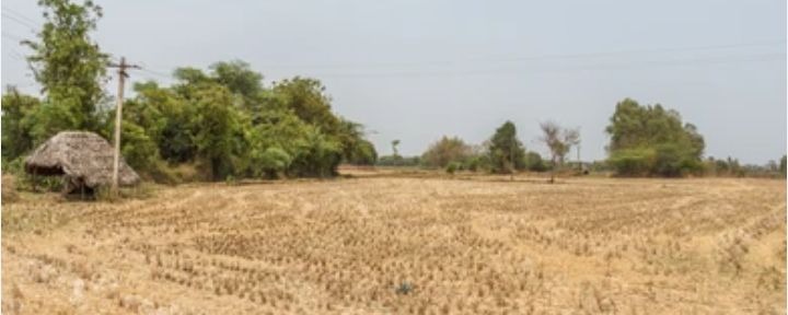 Calm Returns to Foni as Farmers Prepare Fields for 2026 Rainy Season