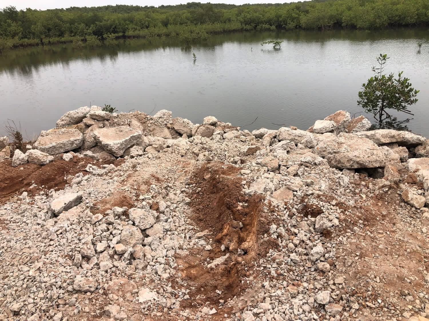Tanbi Wetland Is Under Attack