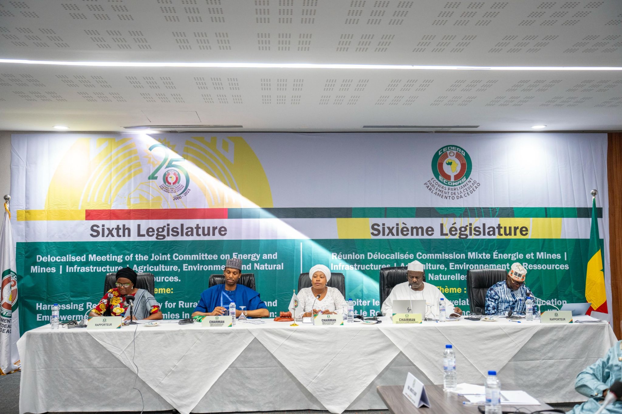 ECOWAS Parliament Adopts Roadmap to Expand Rural Electrification Across West Africa – Foroyaa Newspaper