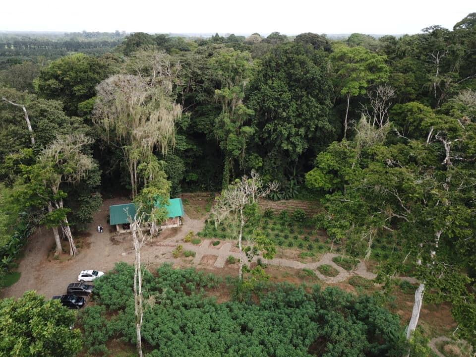 Monkey Farm (14)