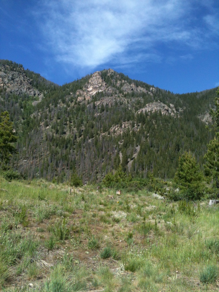 As we arrived at our campsite, Matt pointed out the car window at a mountain peak and wondered how long it would take to climb it. Mom and Dad laughed and said it was much bigger and farther away than it looked and would probably take five hours just to hike to the base of it. Matt didn't believe them, and the next morning, after lots of warnings about rock slides and getting lost, outfitted with a mirror for signaling, he set out to try it. Half an hour later, he called to say he was on his way up the mountain, and sure enough, Dad spotted him with his binoculars about a quarter of the way up. Two hours after he left, he was at the top of the mountain, having basically climbed straight up, free-climbing in places. On his cell phone talking to Dad, he wondered out loud if a helicopter would come pick him up if he told them he was dehydrated. But he hung in there and made it down in another hour with great photos and a rock souvenir.