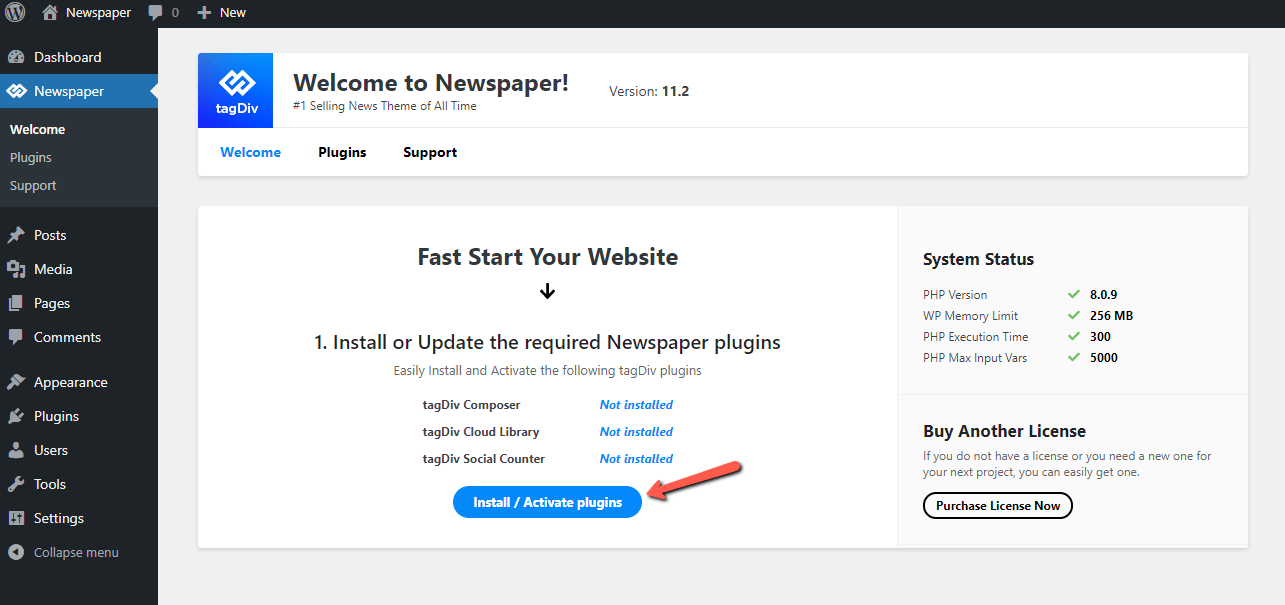 If you don't have a business phone number yet, then you can leave it blank and add it later. Newspaper Documentation Install Via Wordpress