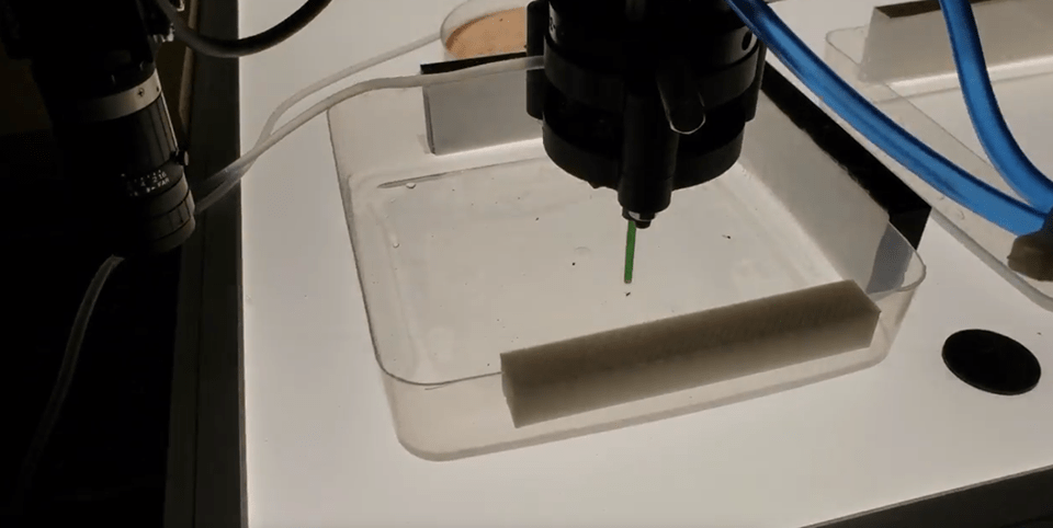 Automation Of Sorting Identification Of Arthropod Samples Using