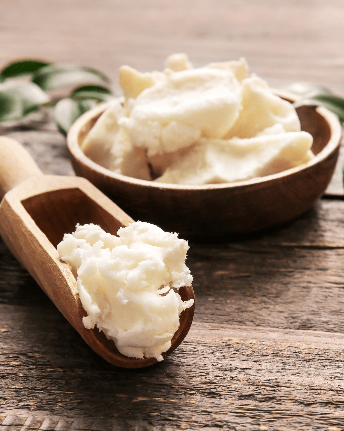 Body Butter in a bowl