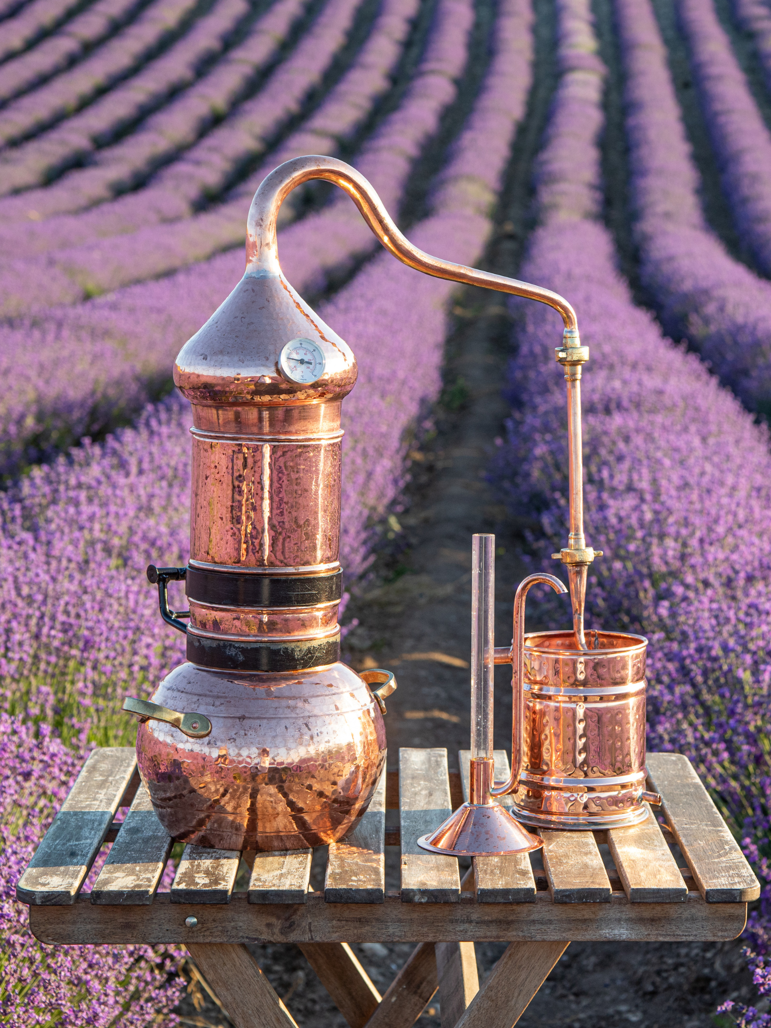 Hydrosol distiller in lavender field