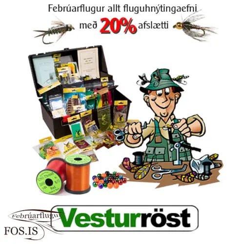 feb_st_vesturrost20S