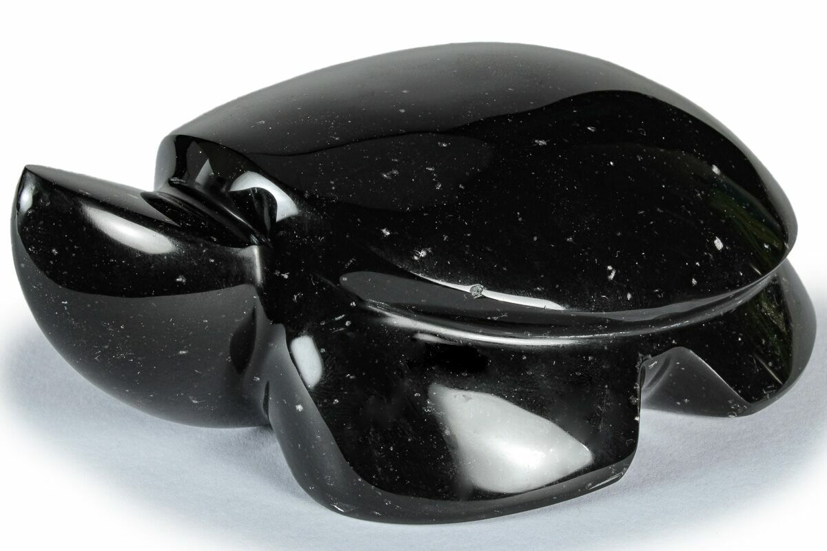 5.6" Polished Black Basalt Turtle - California